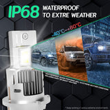 CANBUS D2S LED Bulb 45W 5500LM 6500K